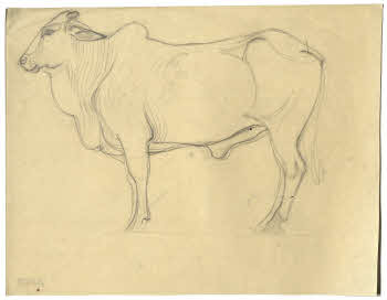 Visualizza l'immagine "FD D 138"